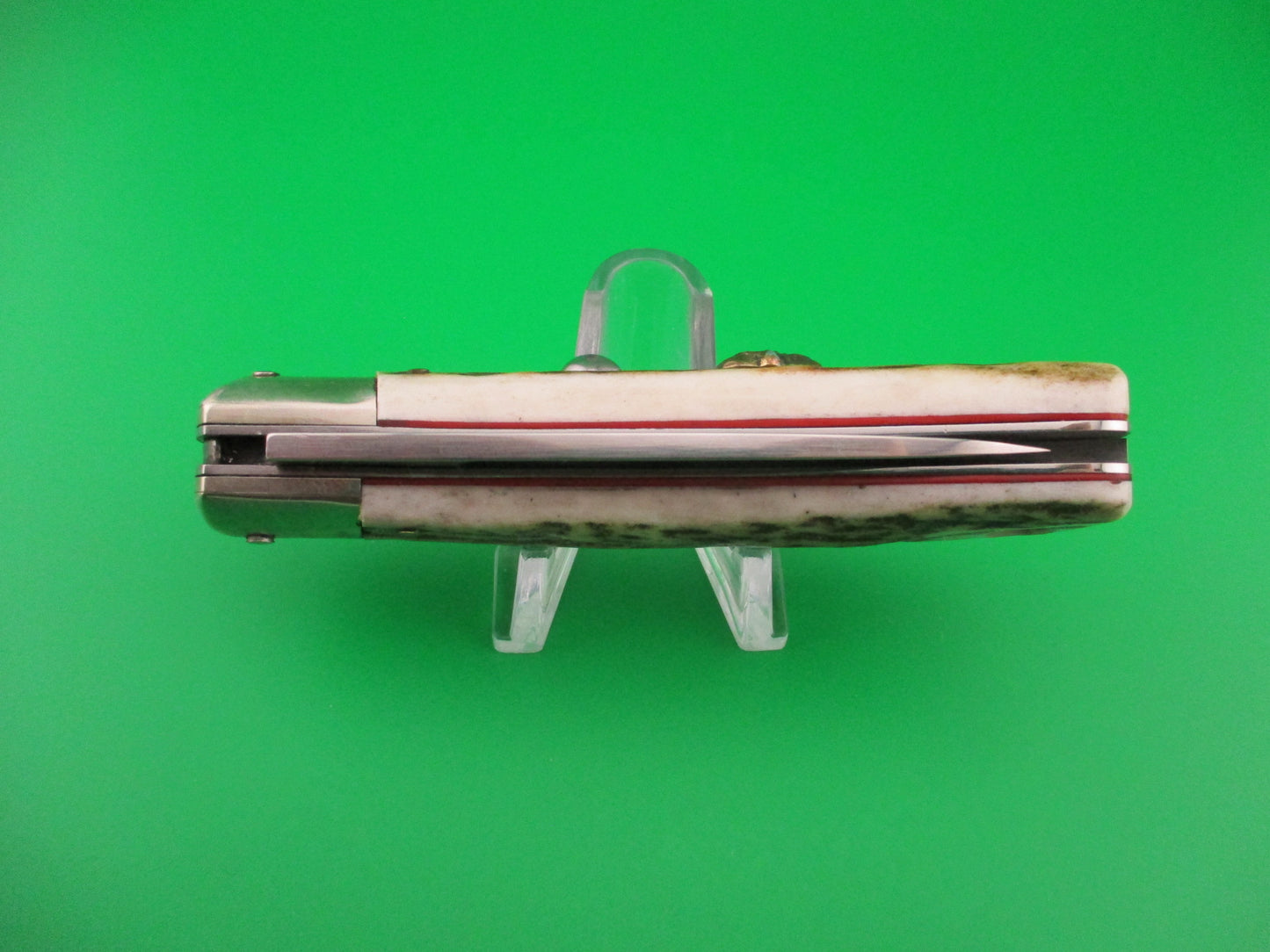 AKC ITALY Speed Hunter 18cm Italian Stag Skull automatic knife