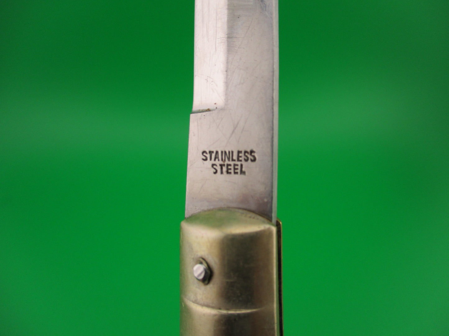 STAINLESS STEEL 20cm Japanese Rizzuto Style Step bolster non-swinger automatic