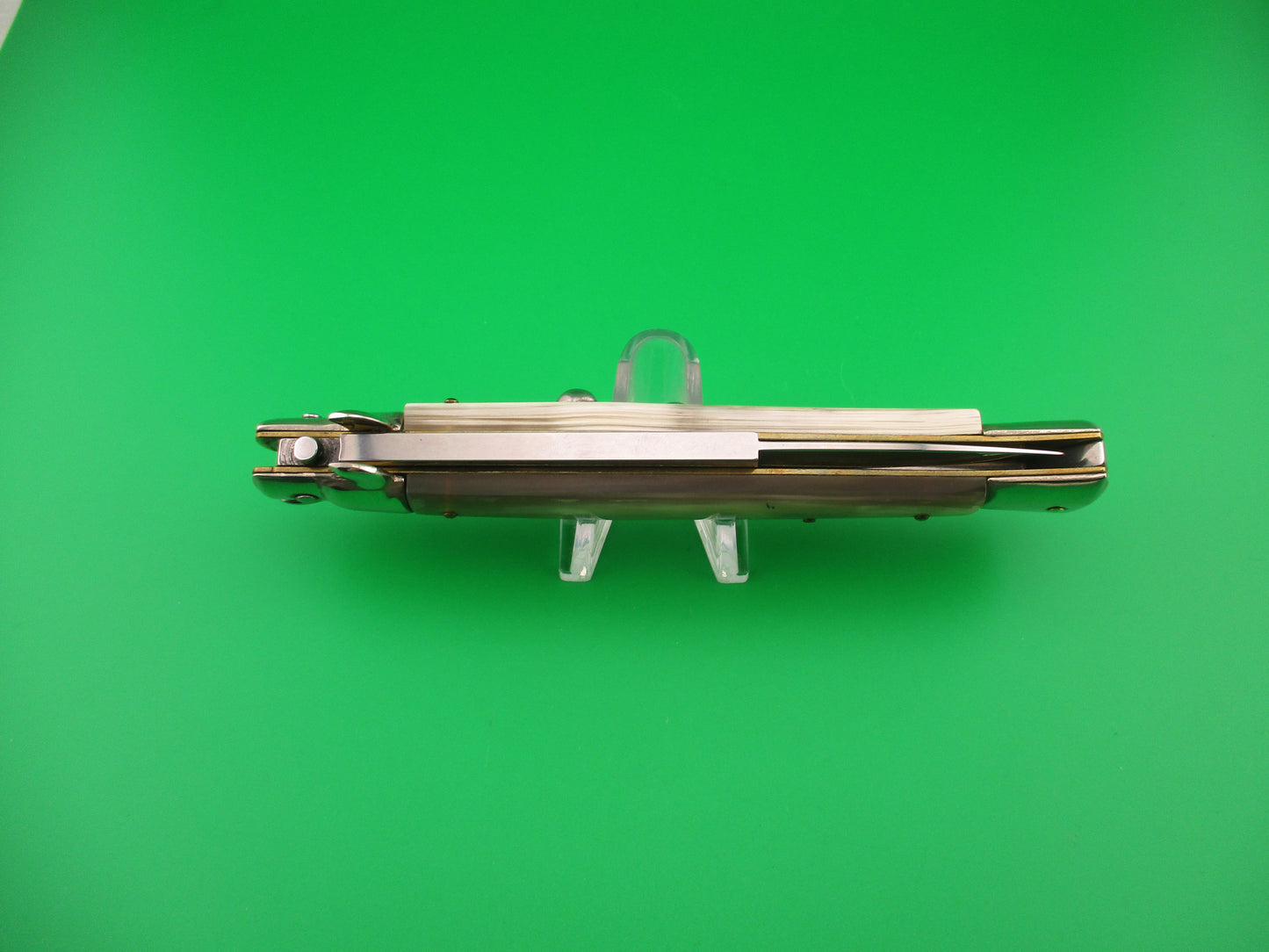 Walts LATAMA Cat 28cm Italian Stiletto Bayonet Blade Honey Cream switchblade