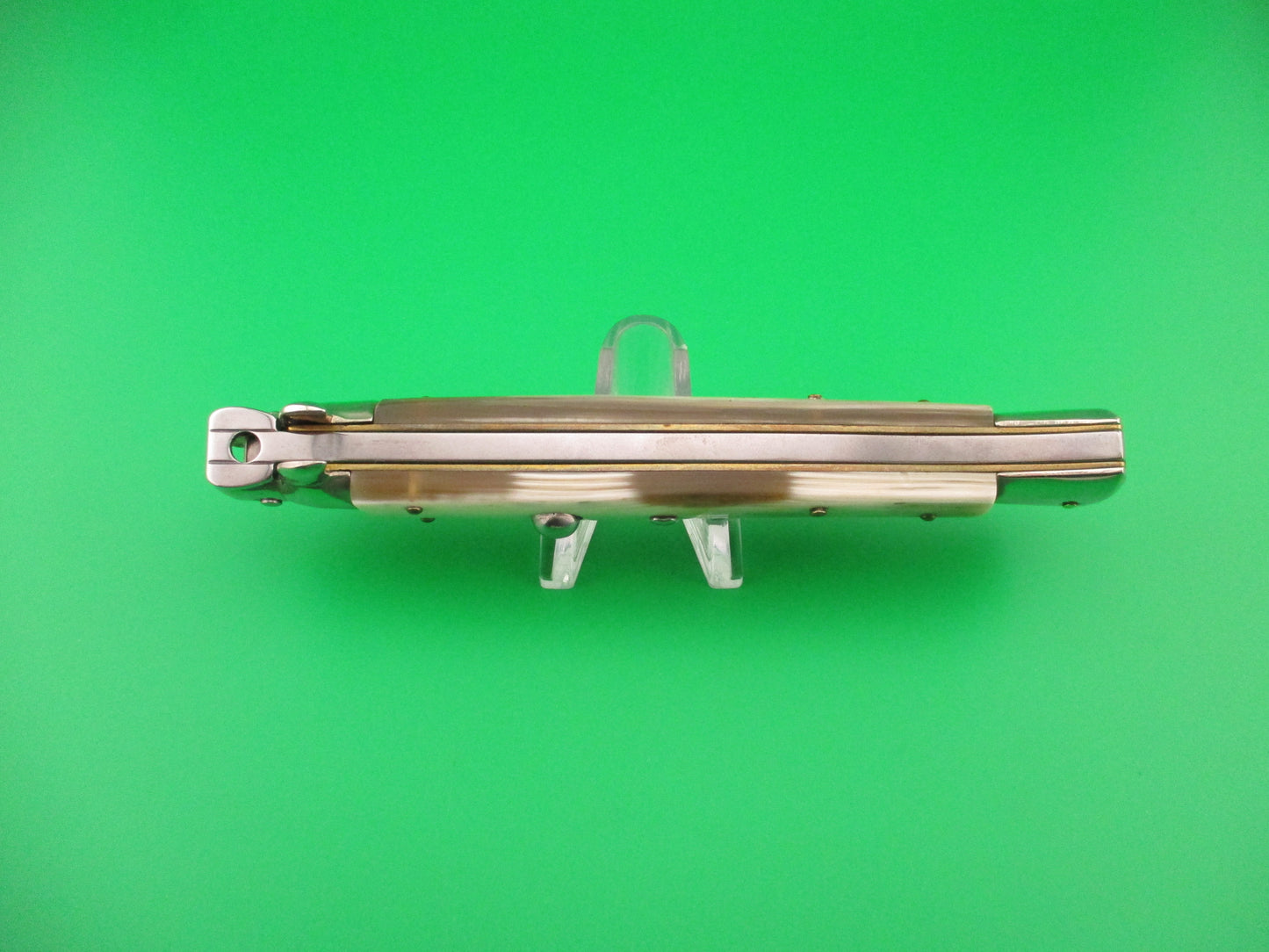 Walts LATAMA Cat 28cm Italian Stiletto Bayonet Blade Honey Cream switchblade