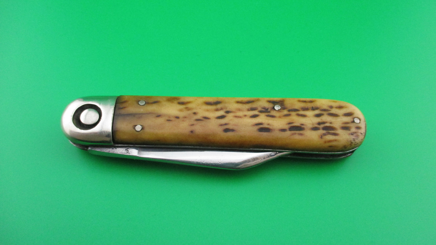 z Press Button Knife Co Business Clip blade picked bone switchblade knife