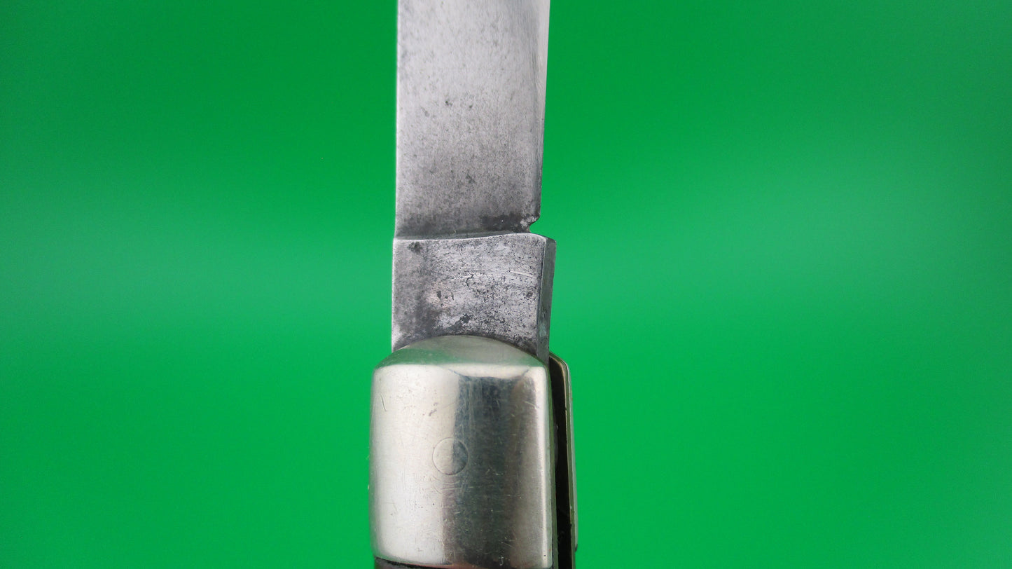 SCHRADE WALDEN Fishtail Horn celluloid w/bolsters #151 switchblade knife