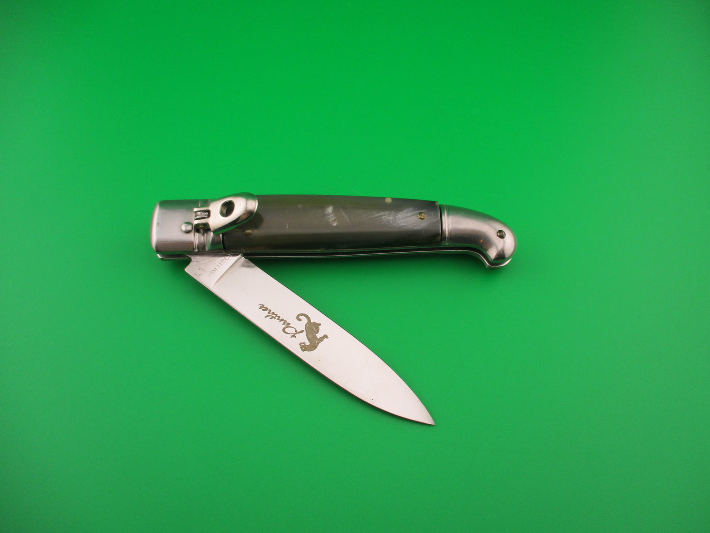 ROSTFREI Panther 20cm Italian Birds head lever automatic knife w green horn