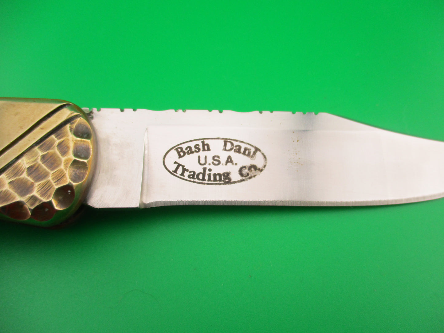 BUCK 110 BASH DANI SA Conversion Customized Navajo style Turquoise & Brass automatic knife