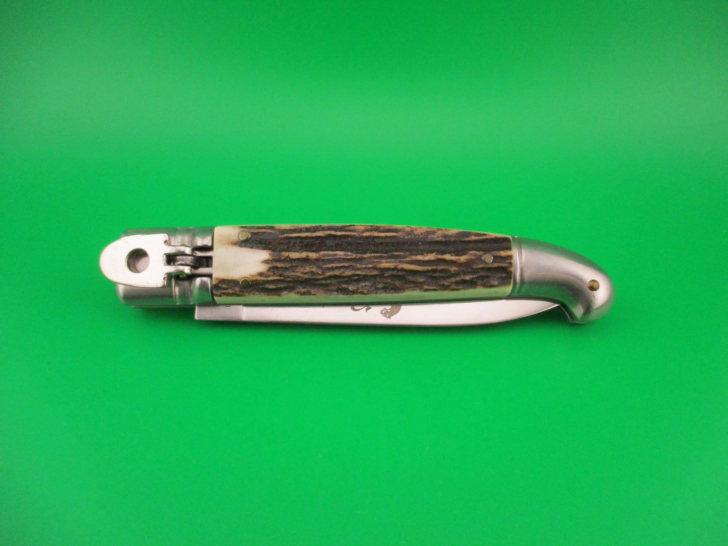 ROSTFREI Panther 20cm Italian Birds head lever automatic knife w Stag scales
