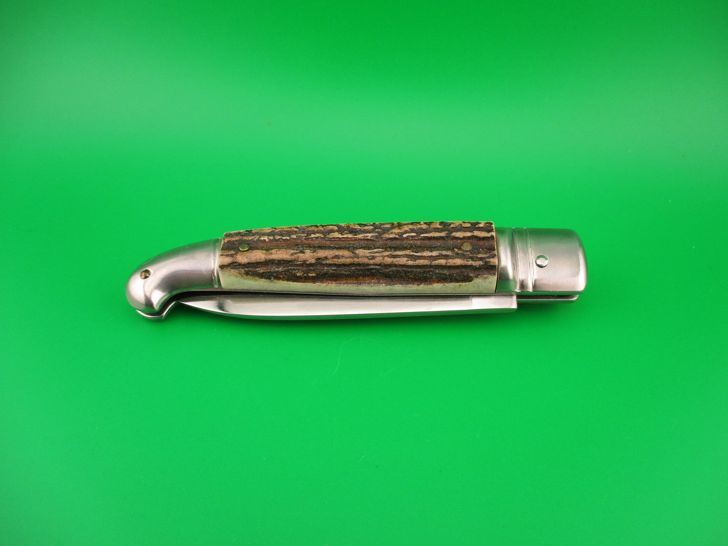 ROSTFREI Panther 20cm Italian Birds head lever automatic knife w Stag scales