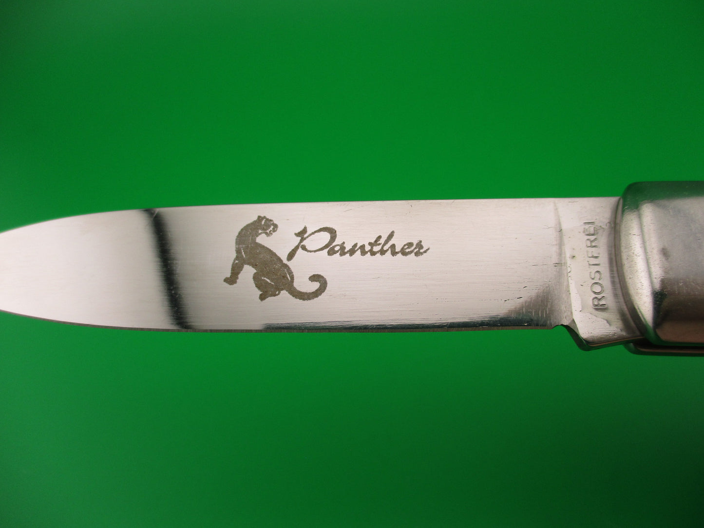 ROSTFREI Panther 20cm Italian Birds head lever automatic knife w Stag scales