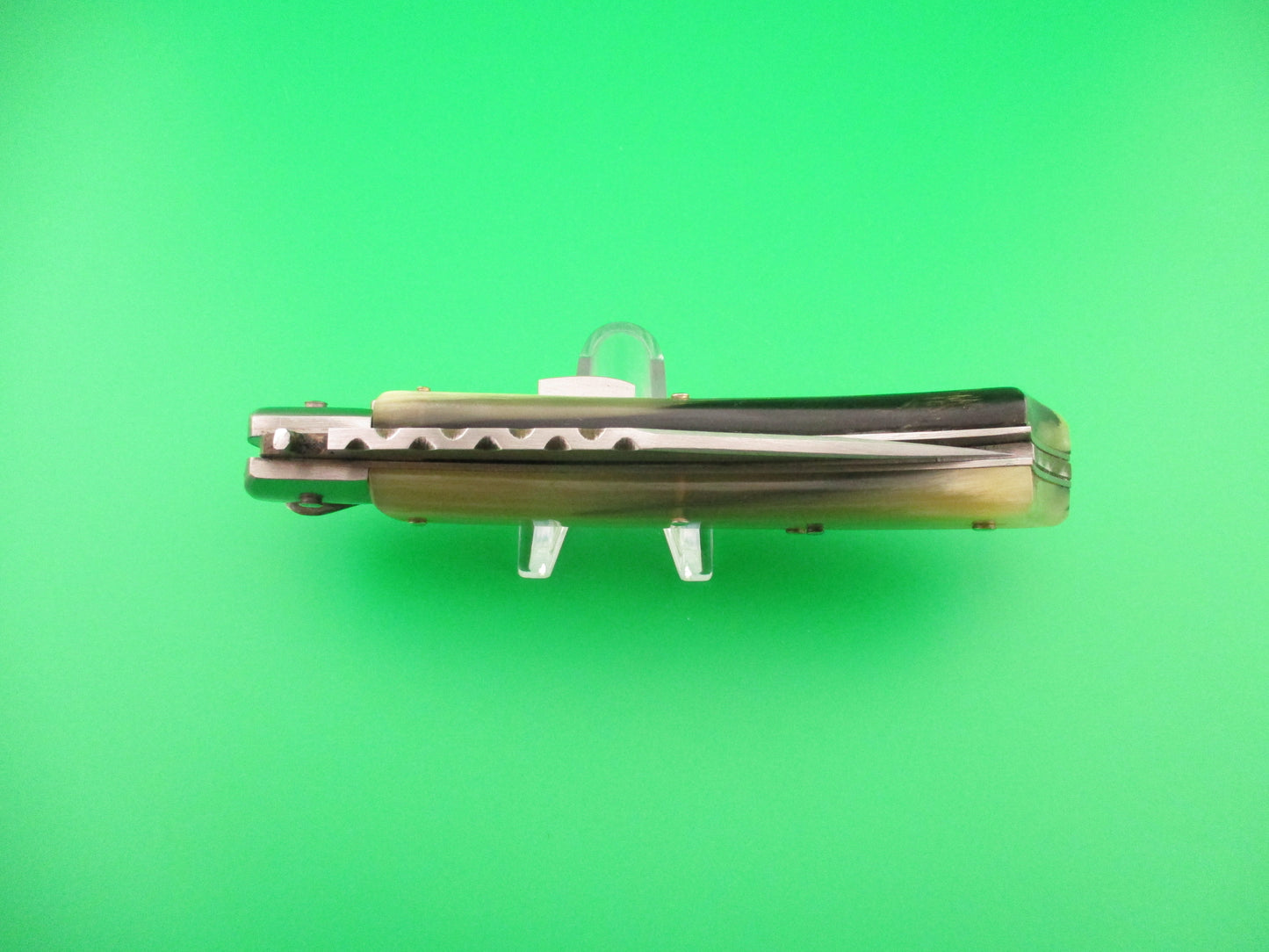z A. CONTINI 24cm Italian Hand Made Custom Ram's horn automatic knife NIB