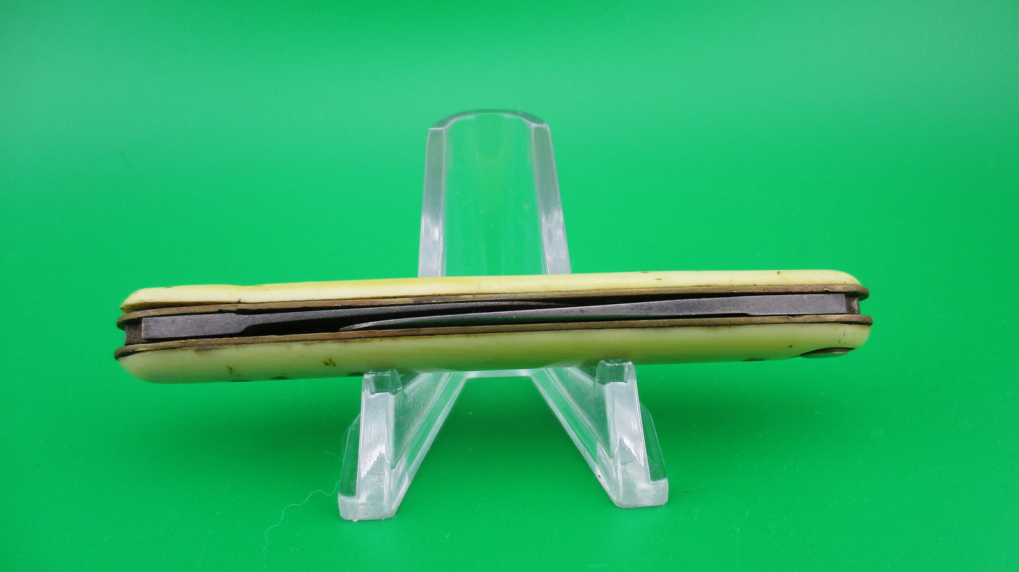 Press Button Knife Co medium double Ivory Celluloid Antique automatic knife