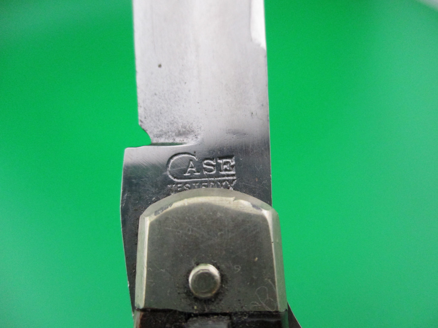 z CASE TESTED XX 6161L Bone switchblade knife
