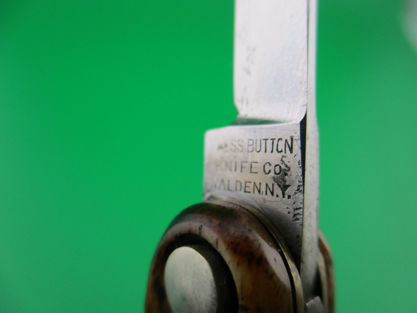 z Press Button Knife Co Medium double bone Etched NOTREVO