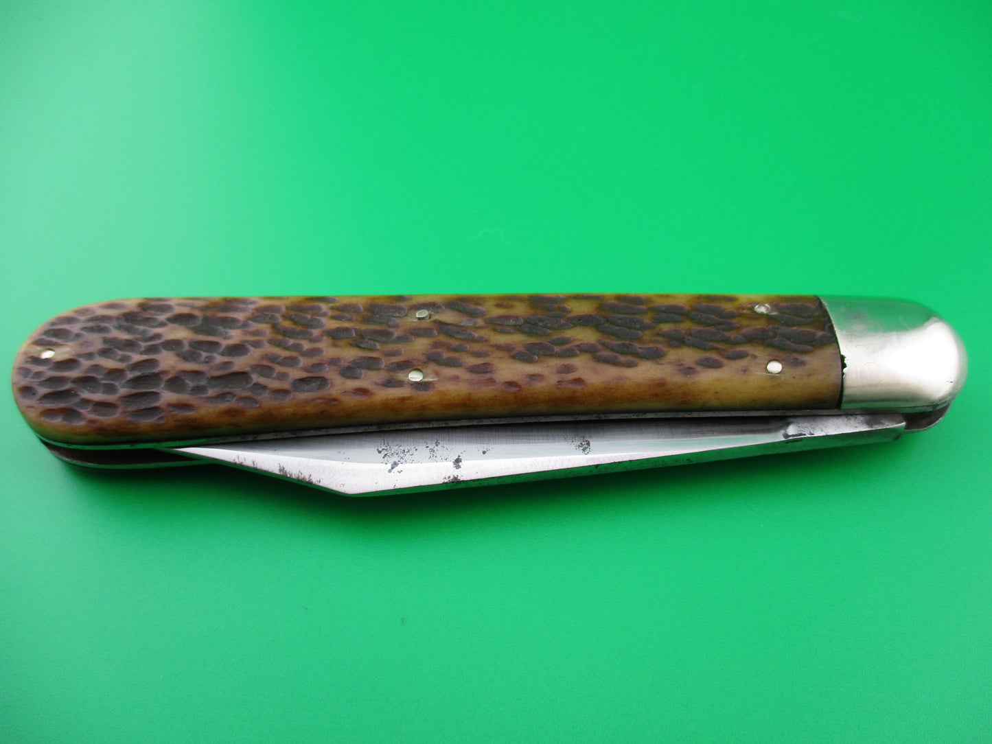 z Press Button Knife Co Invincible Picked bone knife