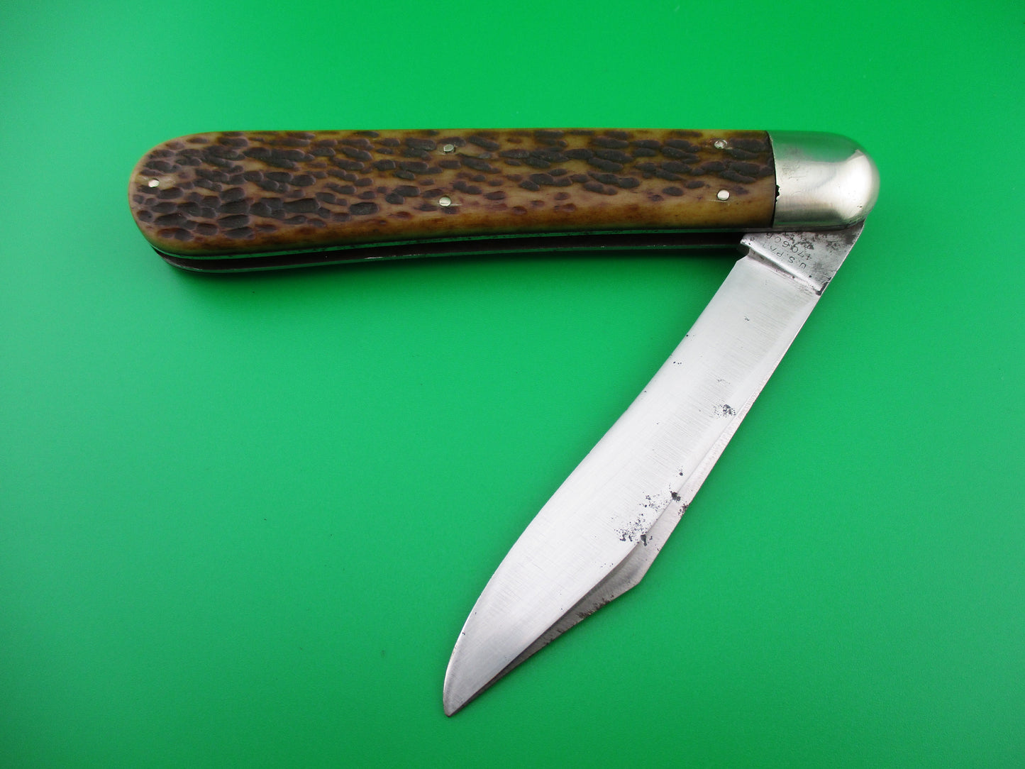 z Press Button Knife Co Invincible Picked bone knife