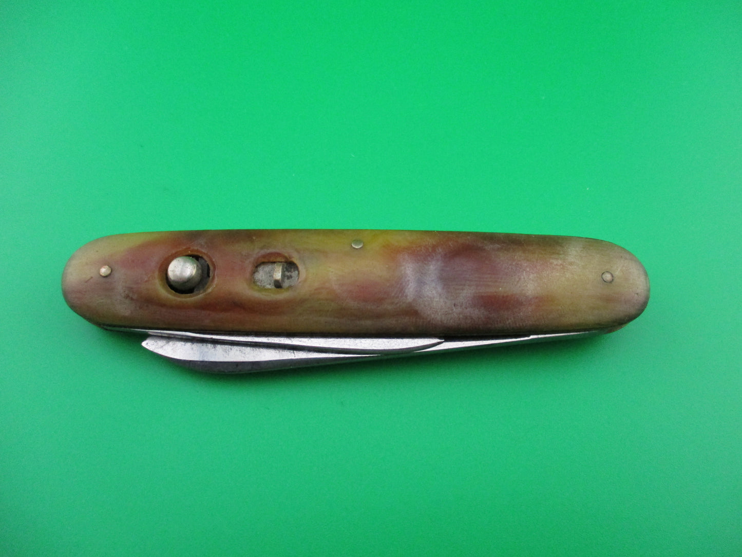SCHRADE WALDEN Large double Horn celluloid switchblade Book knife