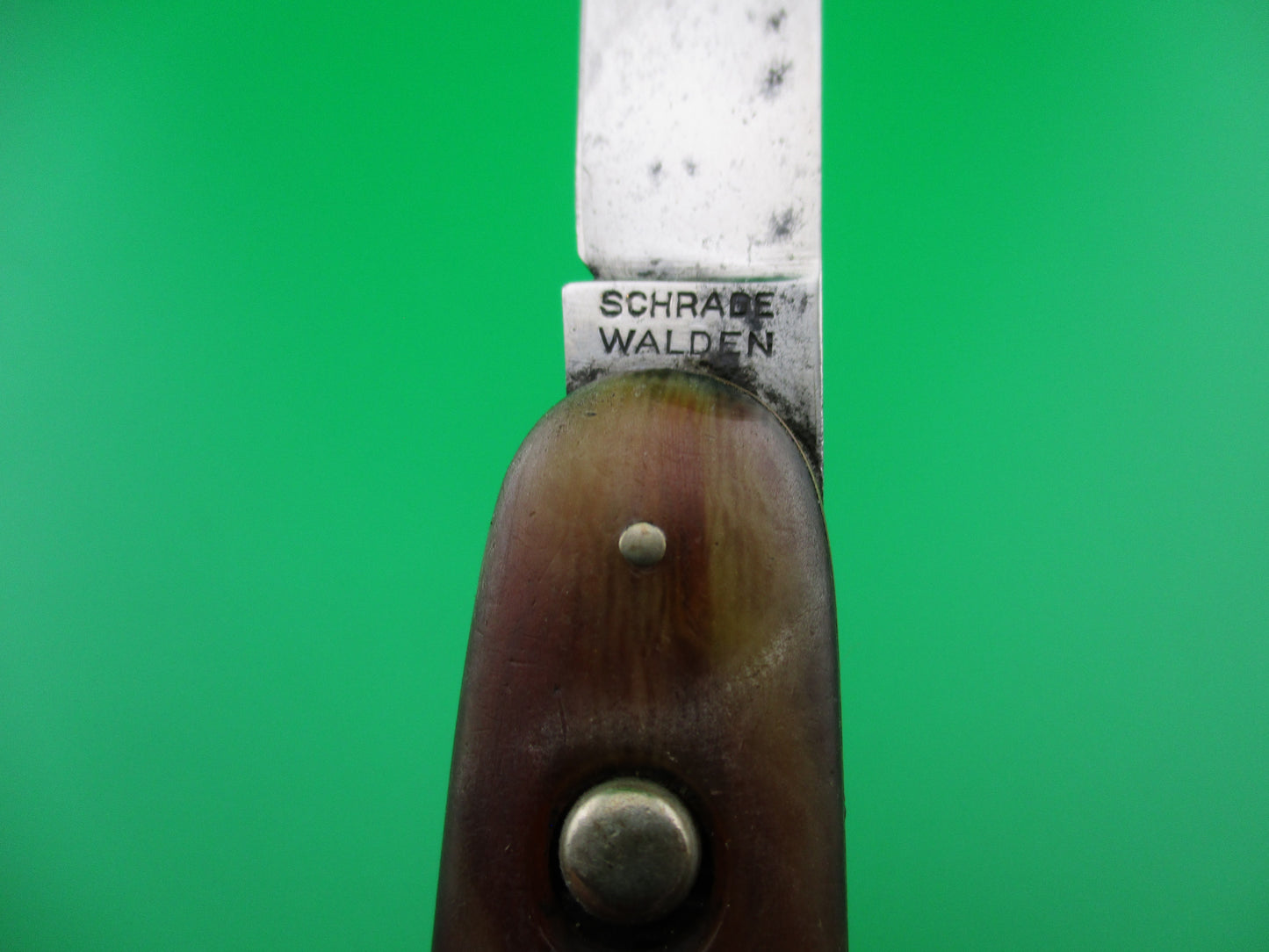 SCHRADE WALDEN Large double Horn celluloid switchblade Book knife