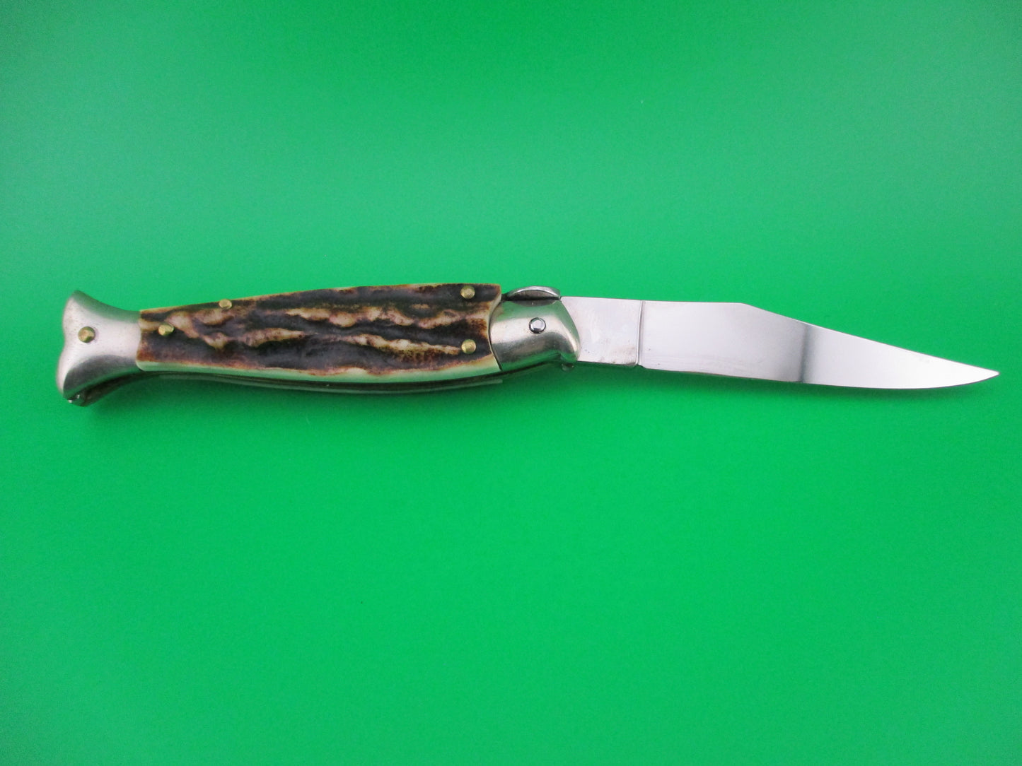 z ITALY 16cm Italian Fishtail Picklock Stag Red Dot automatic knife