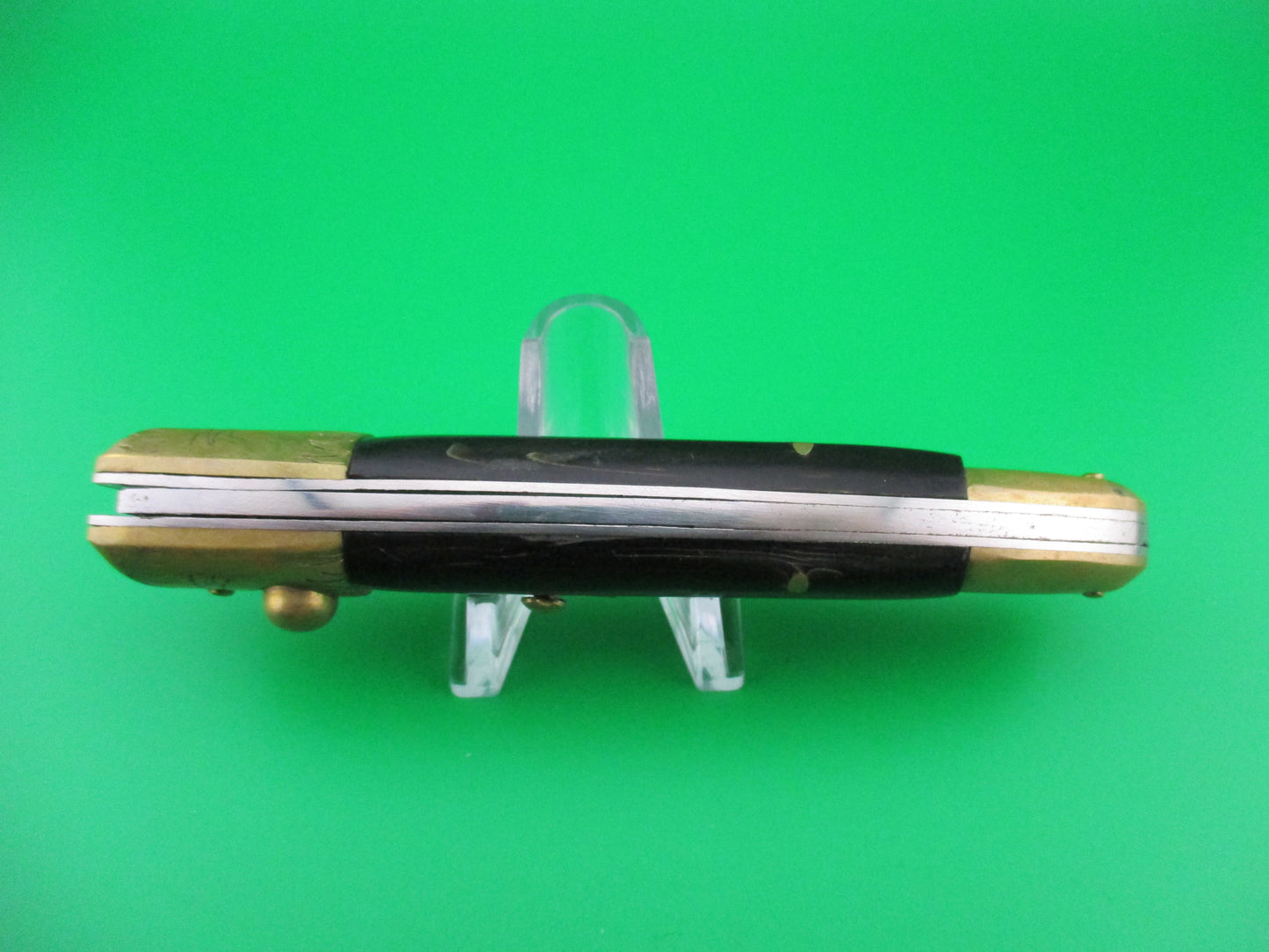 z Jndiana PATENT 21cm Pattada Italian Birds head dark horn switchblade knife