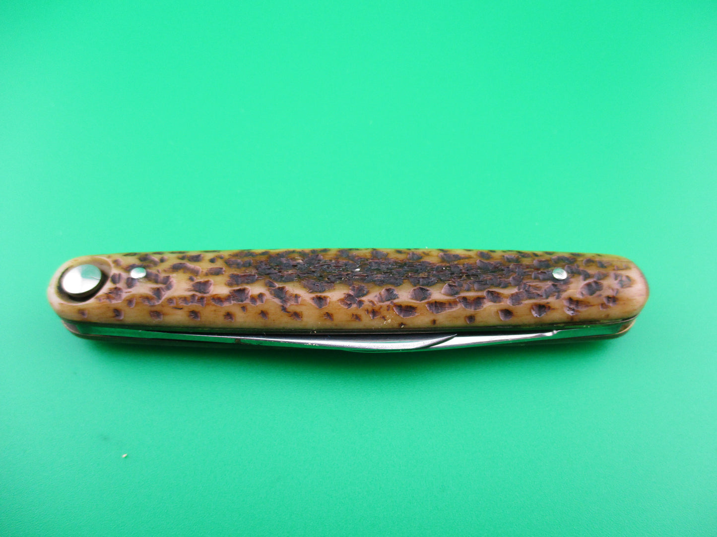 z Press Button Knife Co medium Bone double automatic knife