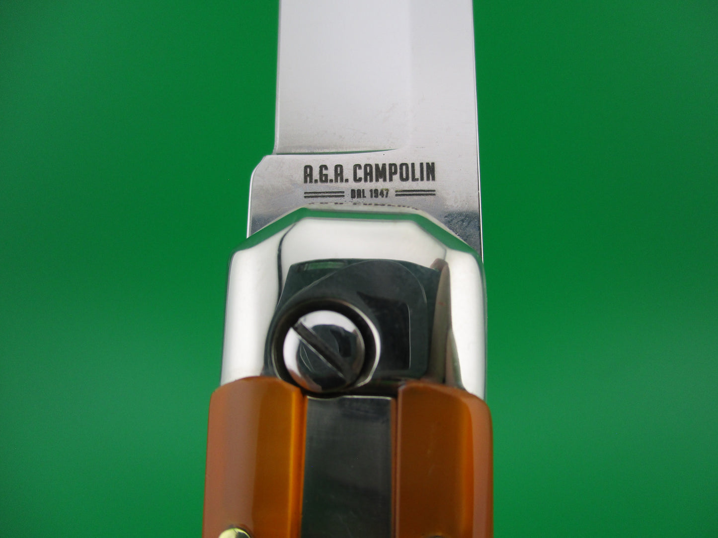 z AGA CAMPOLIN BARON 21cm Limited Edition 2022 Italian automatic knife Skull