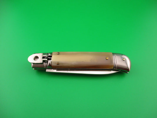 Pocket knife on a green background