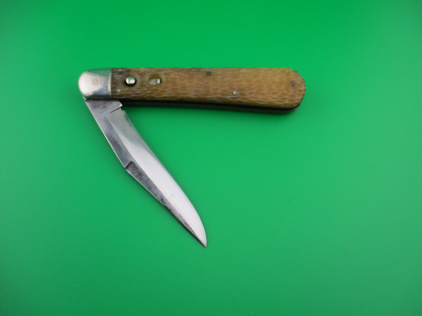 SCHRADE CUT CO 1613 3/4 Hunting Knife Saber Grind light bone vintage switchblade