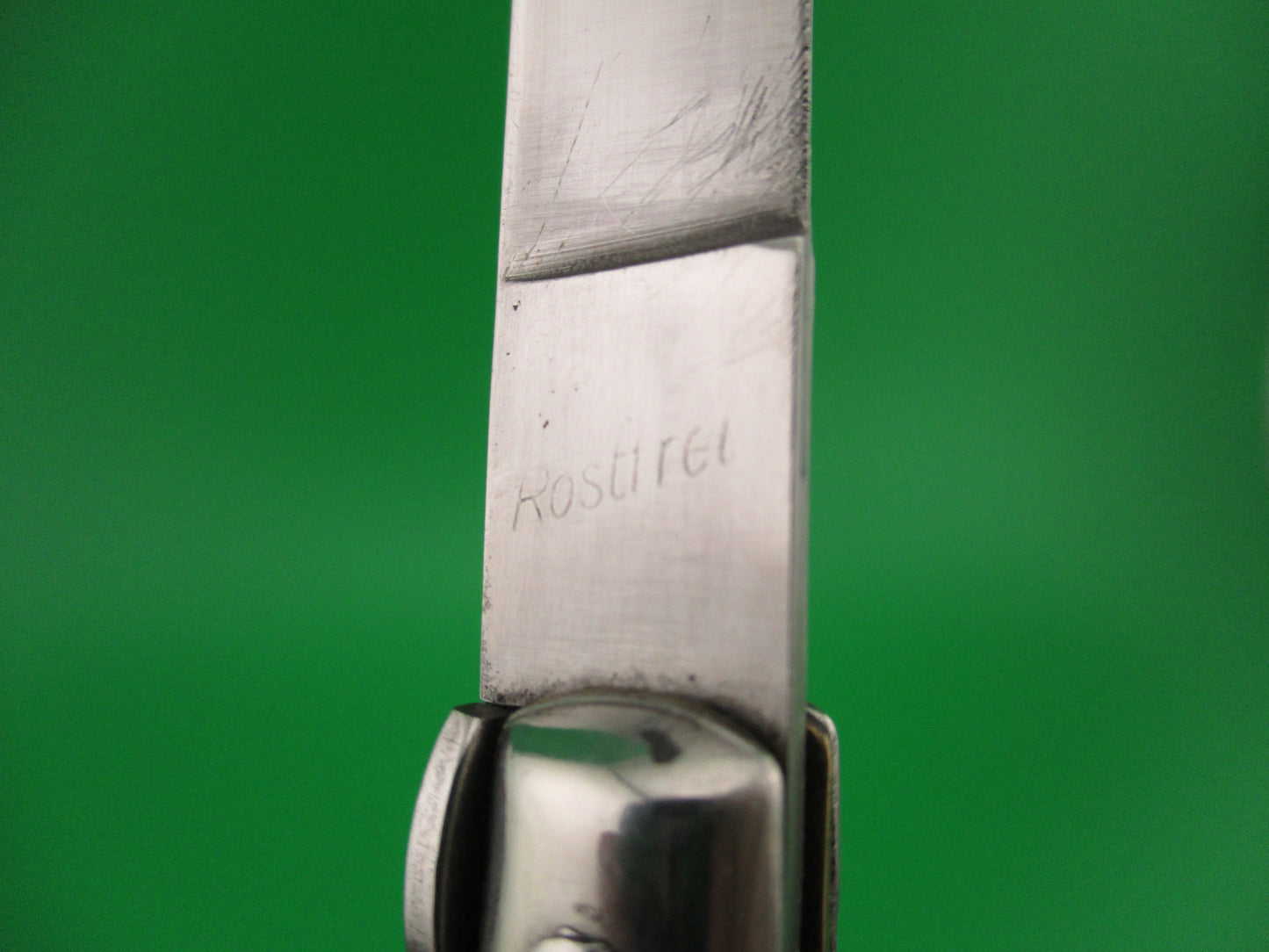 Rostfrei (slant) 21cm Italian Swivel bolster Flat grind genuine horn automatic knife
