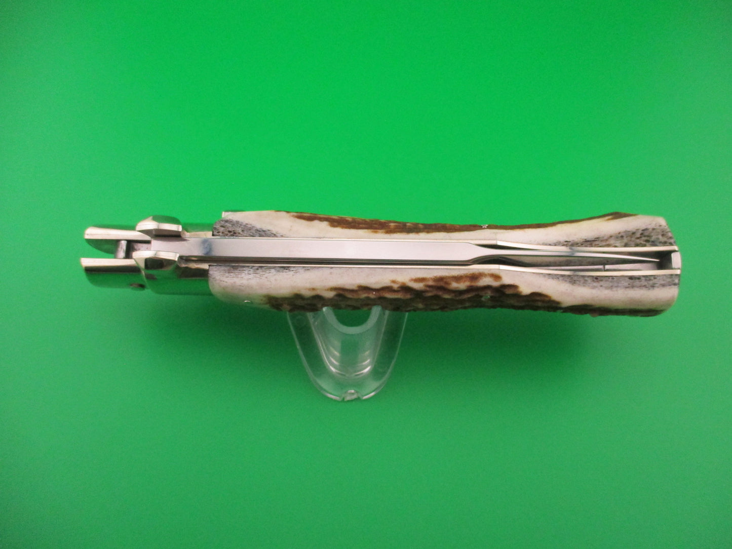 AGA CAMPOLIN ITALY 29cm Italian BLACK WIDOW Stag Fulcrum Wasp Square button knife