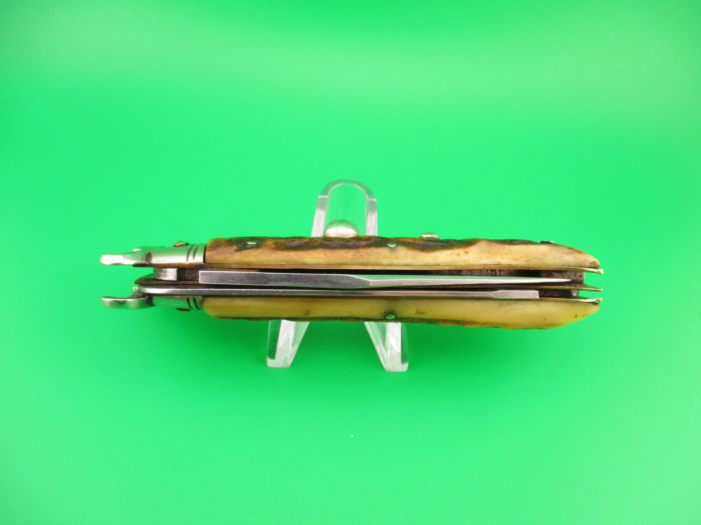 LEPRE INOX 19cm Italian Ring pull 2 Blade Shell Puller Stag automatic knife Rabbit stamp