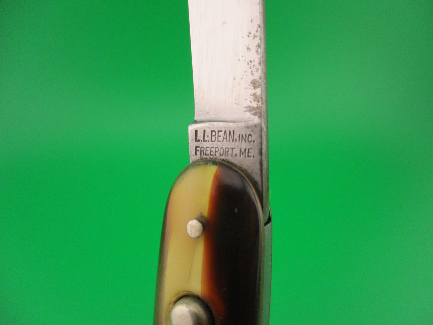 LL Bean Single 3 3/8" Cigar Single Butter & Molasses switchblade & catalog