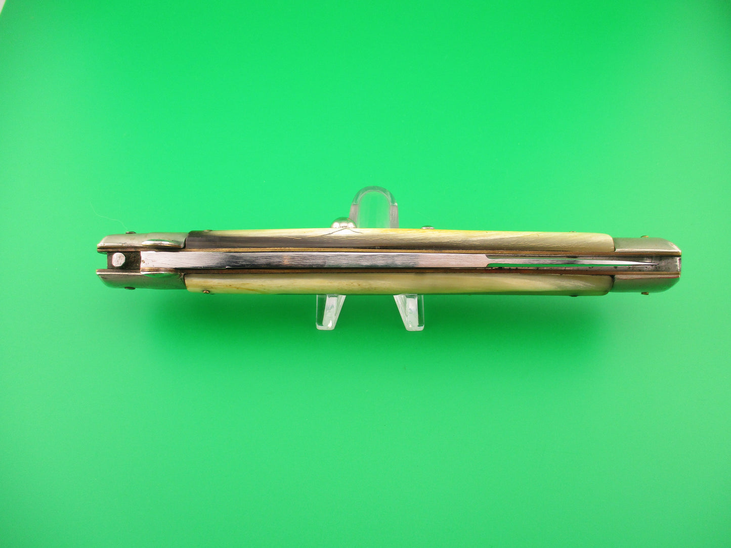 z Rostfrei (slant) 33cm Italian Transitional honey & cream vintage 1960s automatic knife