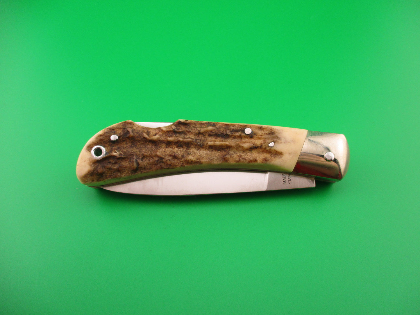 Folding knife with staghorn handle on a green background