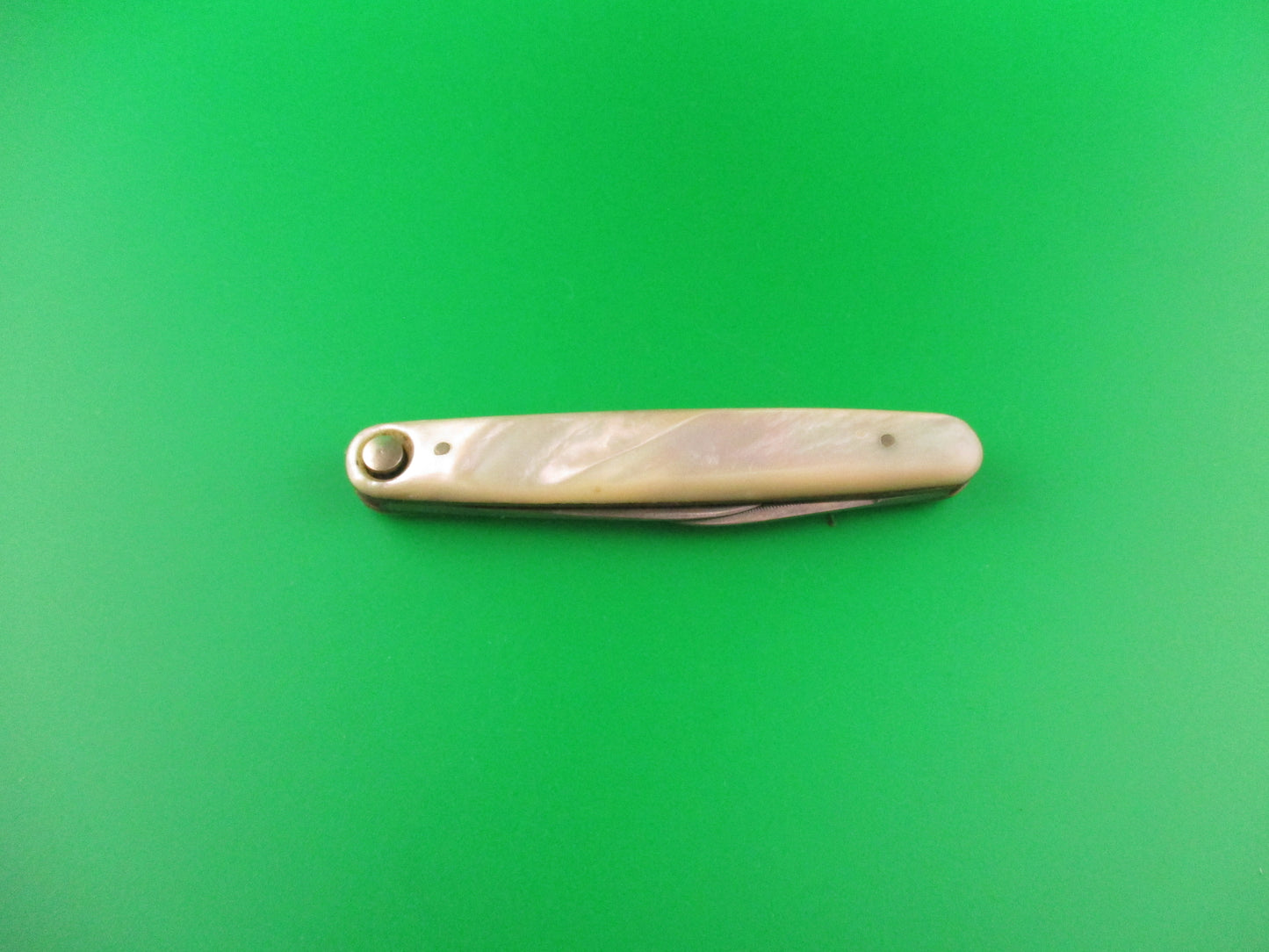 Foldable knife on a green background