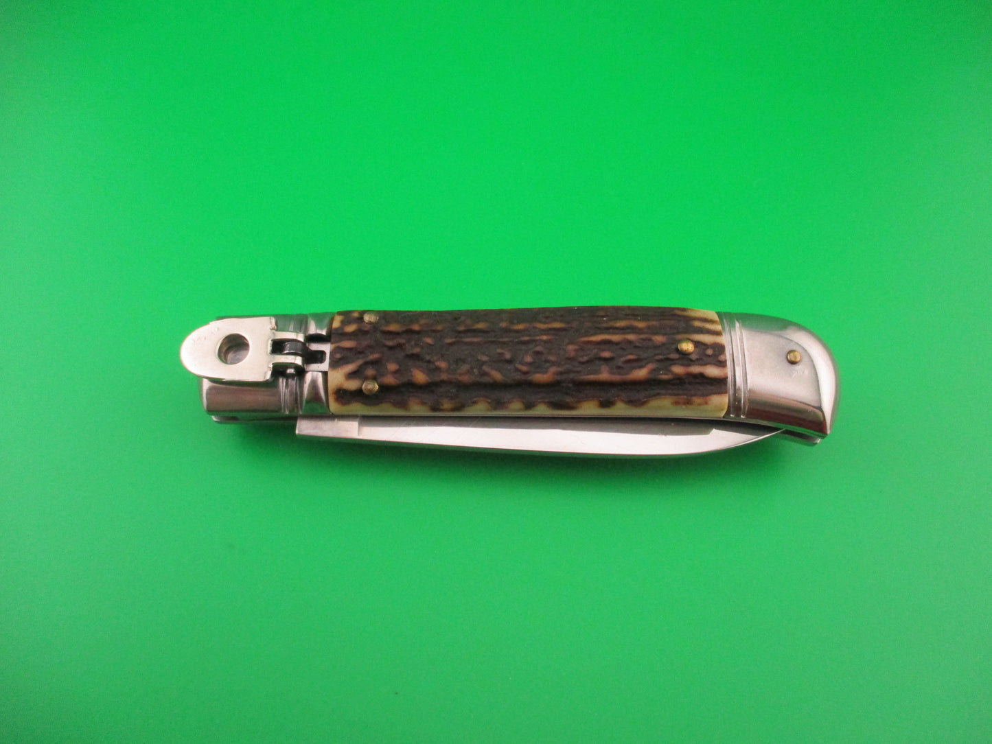 Folding knife with staghorn handle on a green background