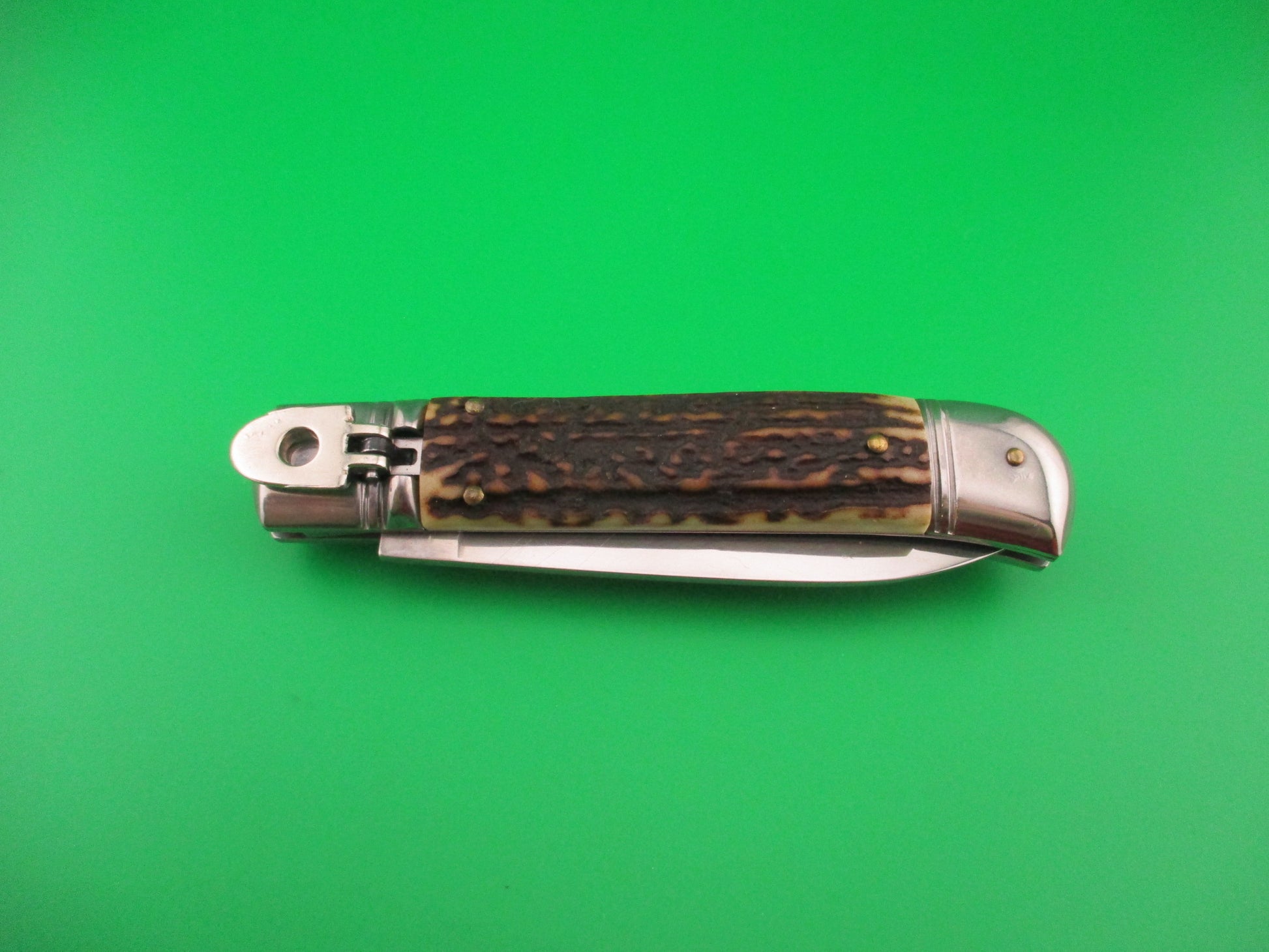 Folding knife with staghorn handle on a green background