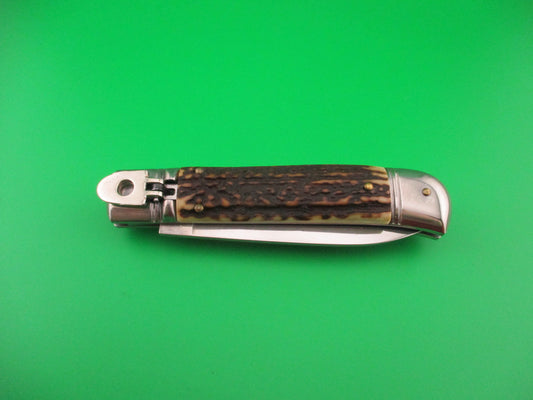Folding knife with staghorn handle on a green background
