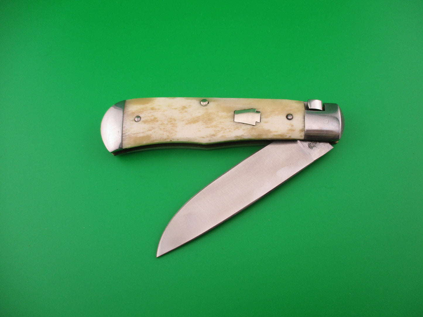 Schatt & Morgan #3 EXP S&M EXPRESS Drop point Smooth bone automatic knife