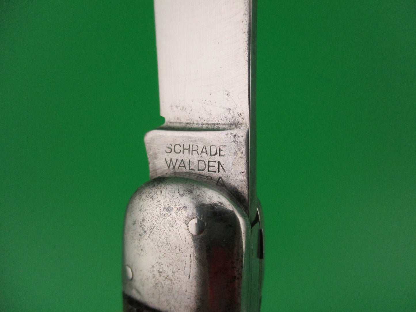 Close-up of a Schrade Walden knife blade on a green background