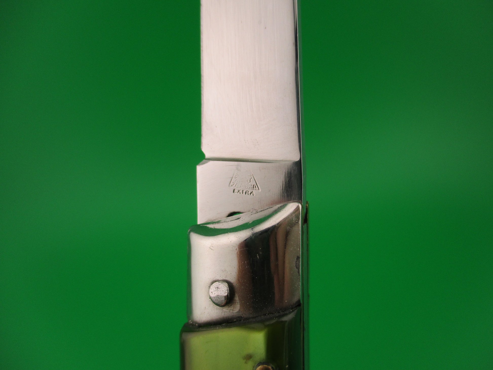 Close-up of a knife blade with a visible brand logo on a green background