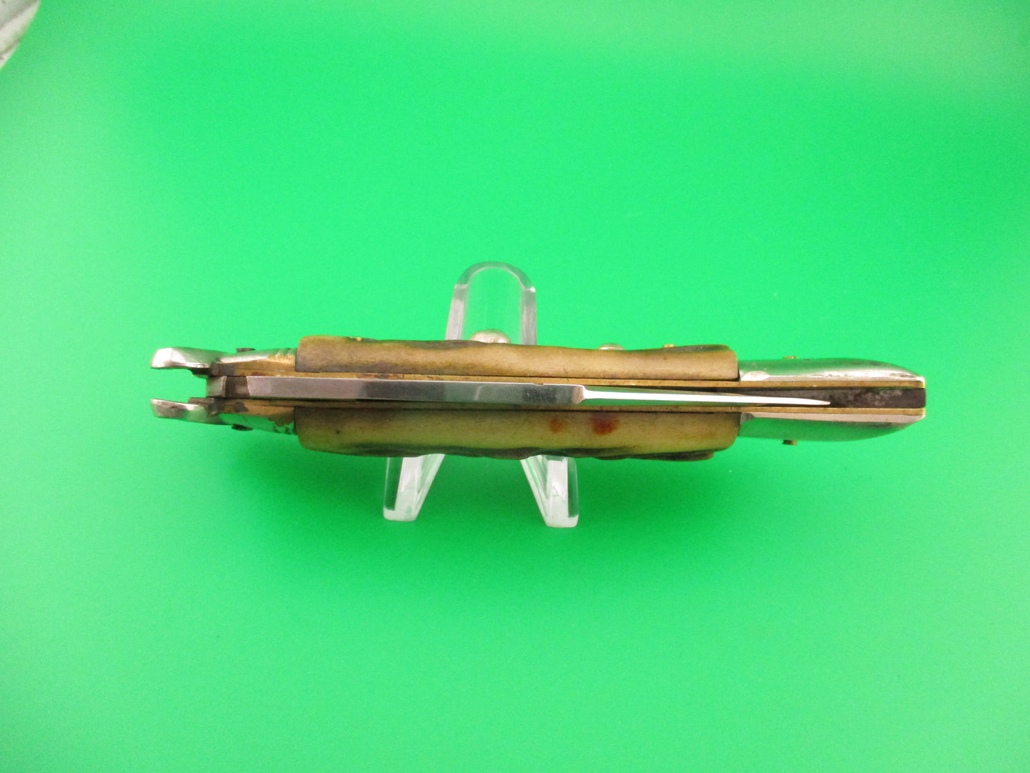 Jndiana INOX 22cm Italian Deer foot Fulcrum release Shell puller switchblade