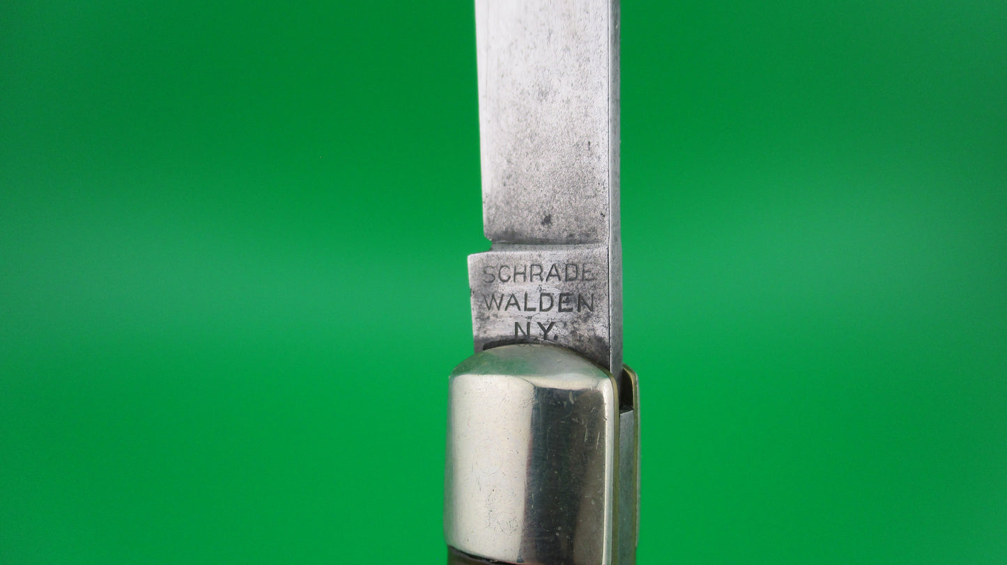SCHRADE WALDEN Fishtail Horn celluloid w/bolsters #151 switchblade knife