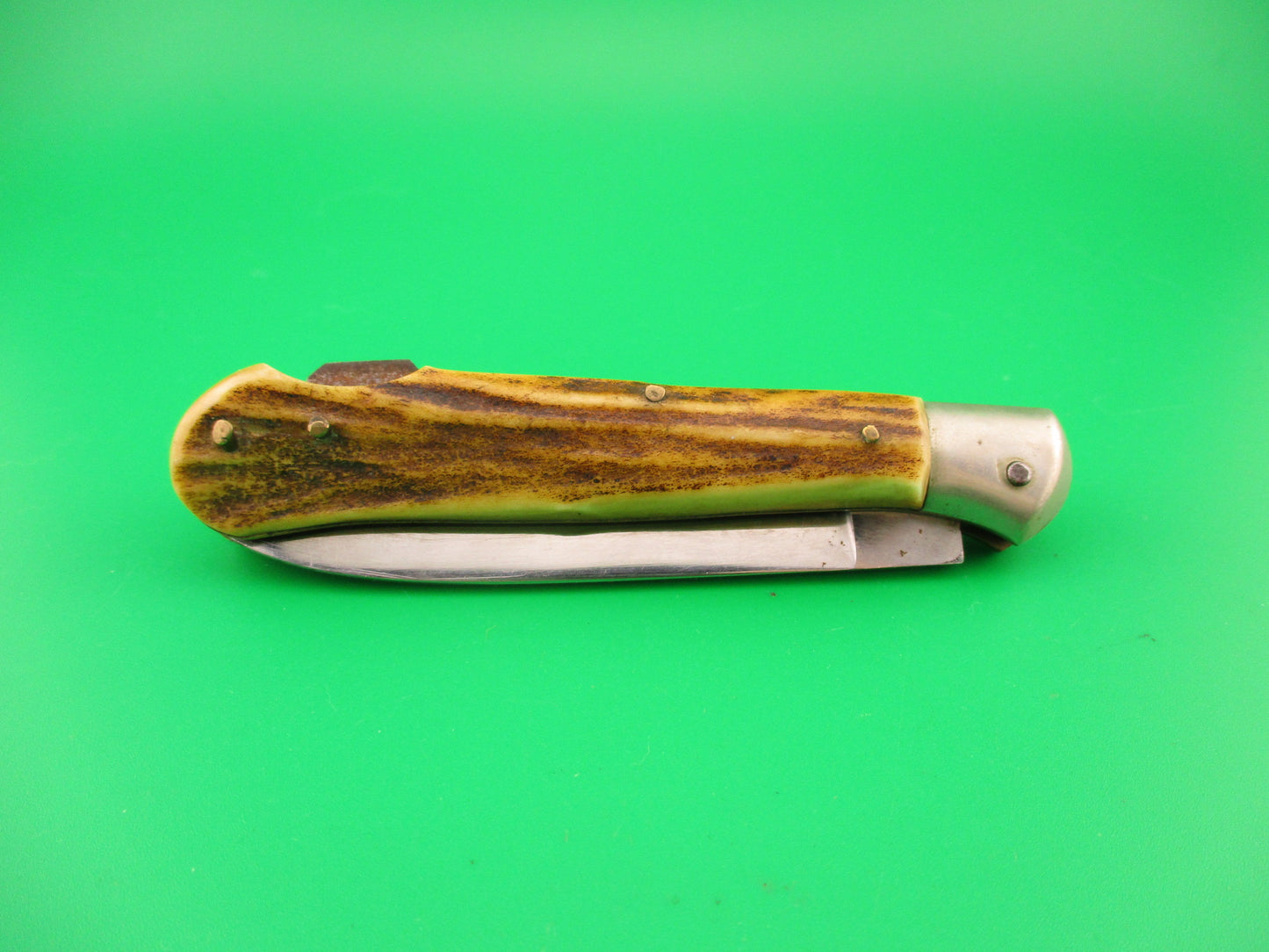 Rostfrei IMPORT 18cm Italian Birds head stag lockback automatic knife red dot