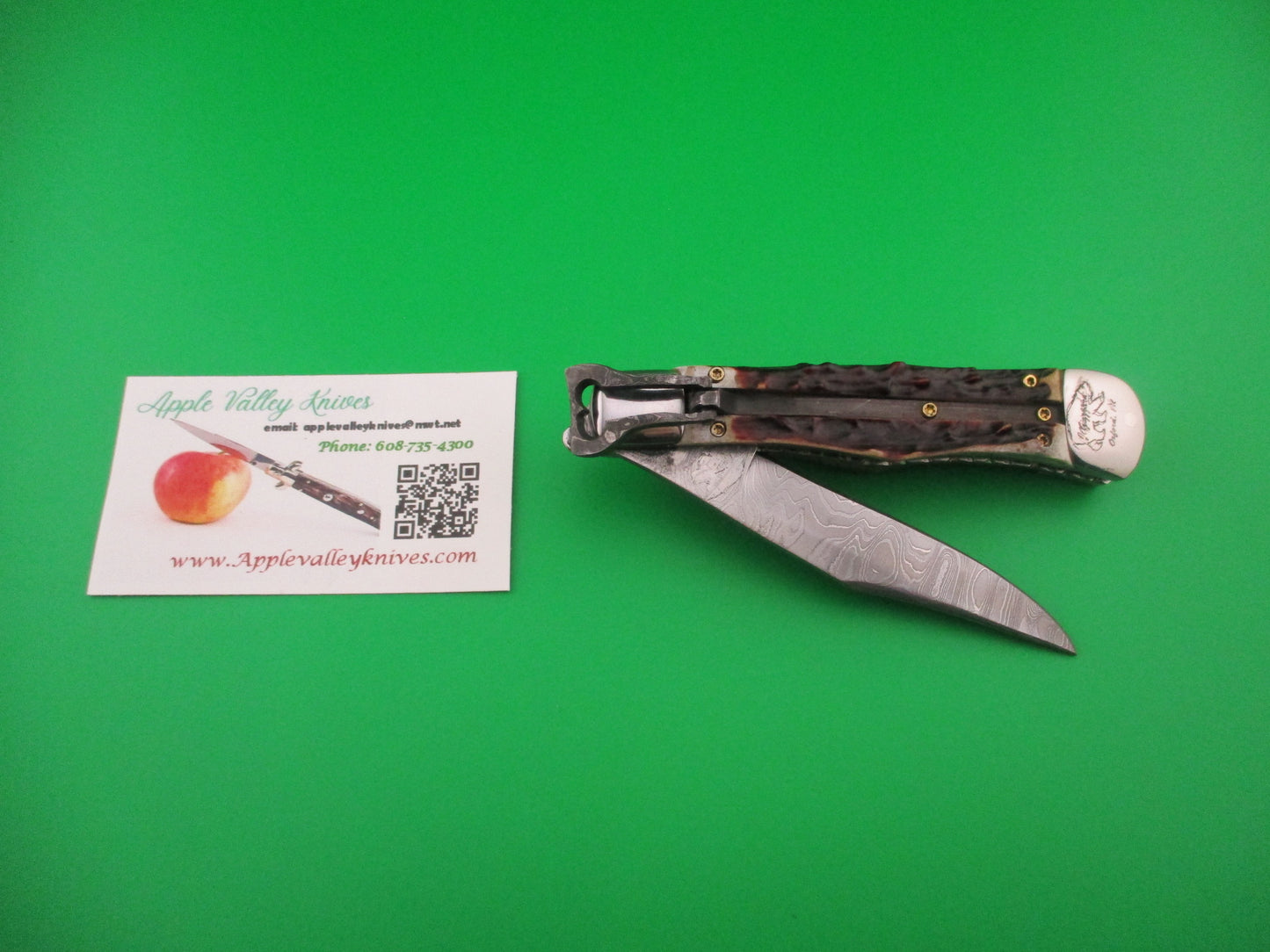 Jim Grizzard CUSTOM WR CASE LEVER Inspired Stag Damascus automatic knife