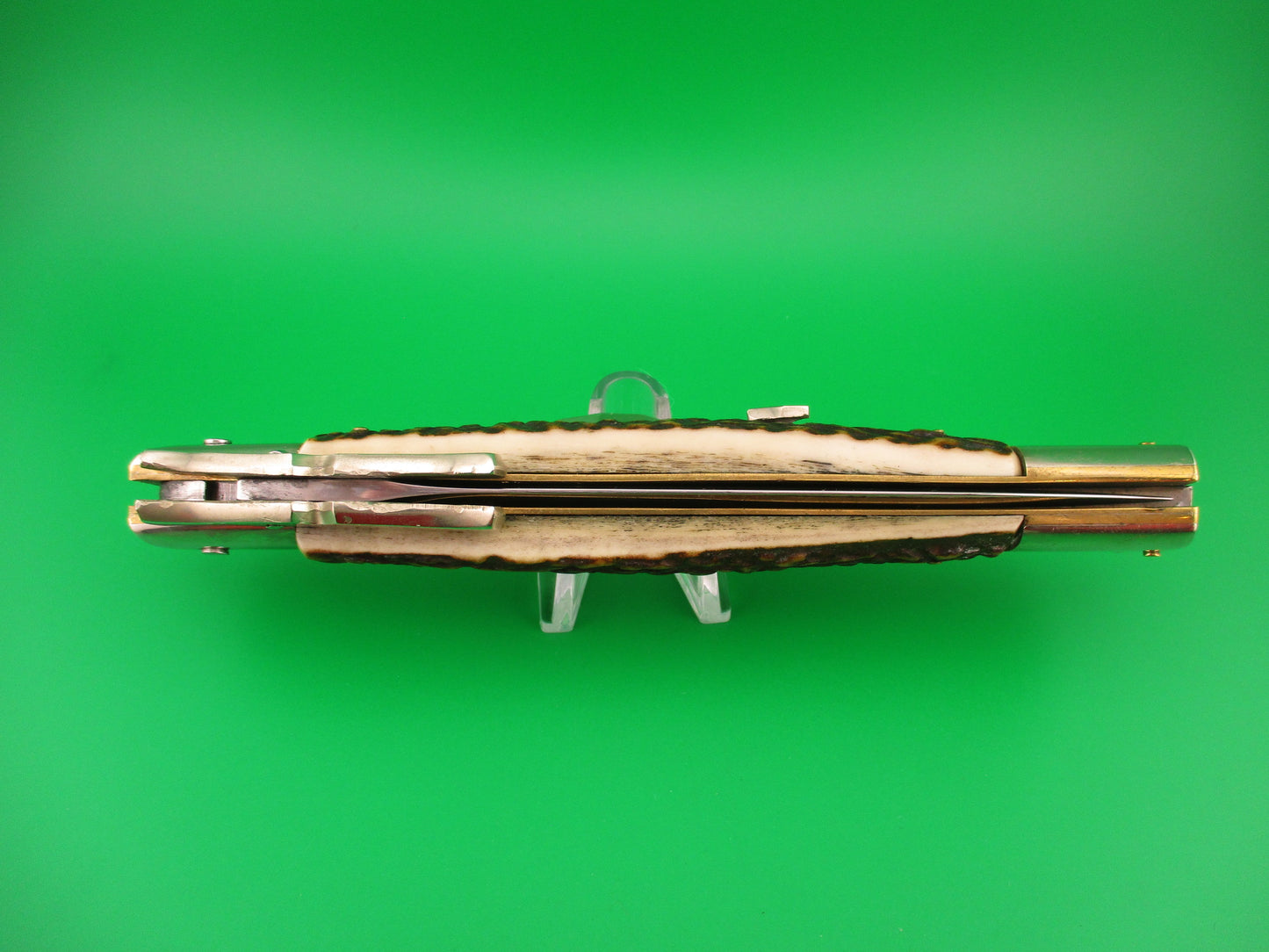 z AGA CAMPOLIN 33cm Italian 2015 Stag Batwing Diamond button automatic knife