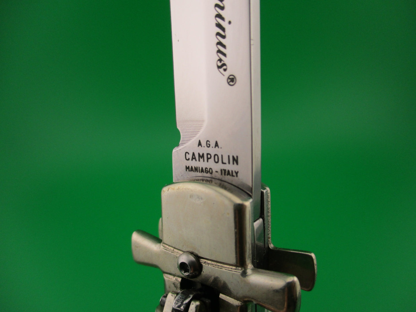 AGA CAMPOLIN Dominus 23cm Stag Lever automatic knife with Skull