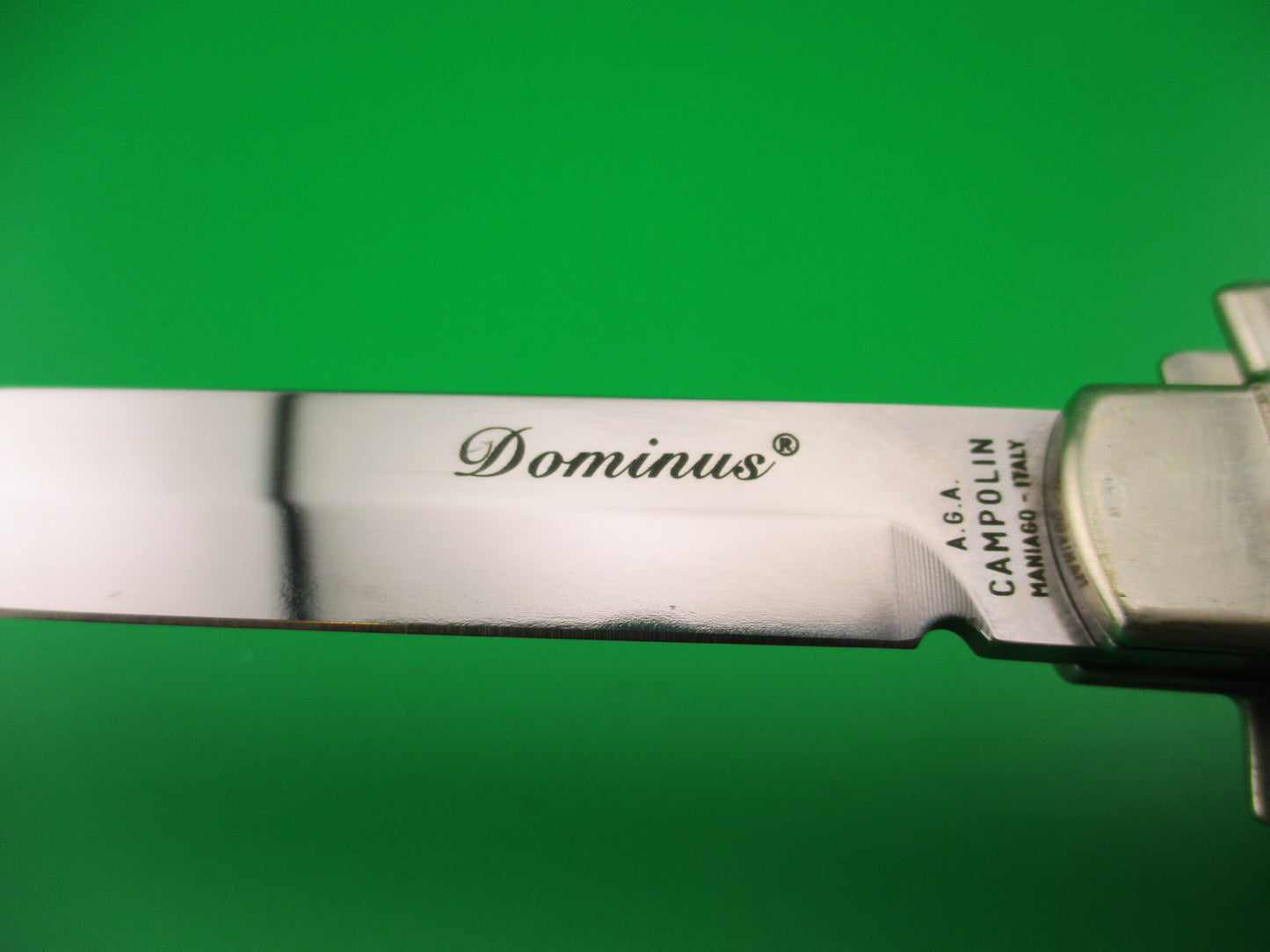 AGA CAMPOLIN Dominus 23cm Stag Lever automatic knife with Skull