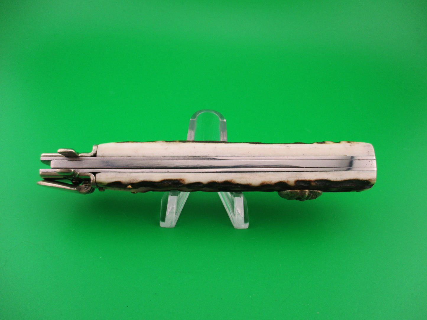AGA CAMPOLIN Dominus 23cm Stag Lever automatic knife with Skull