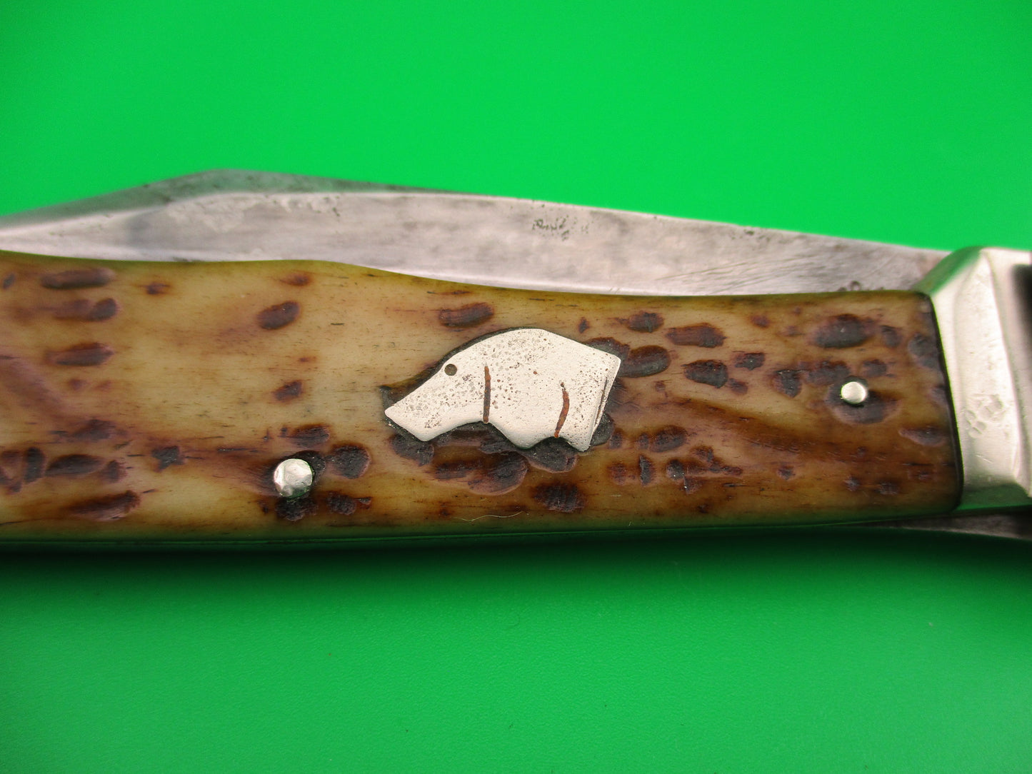UNION CUT CO OLEAN NY Dog's Head Lever release Vintage automatic knife