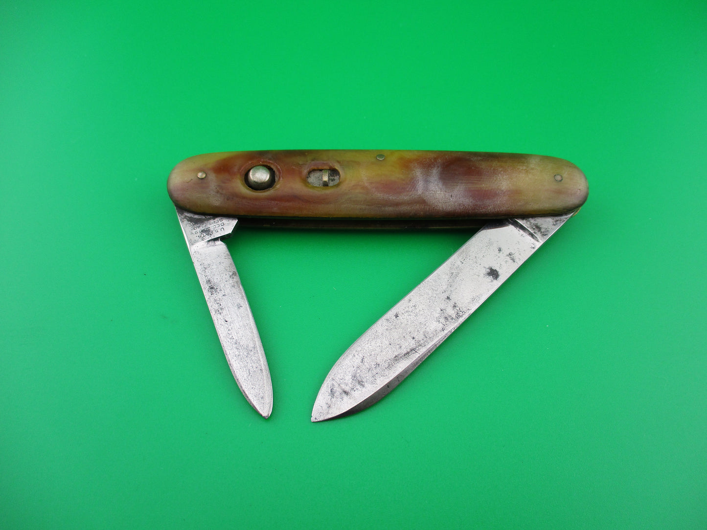 SCHRADE WALDEN Large double Horn celluloid switchblade Book knife