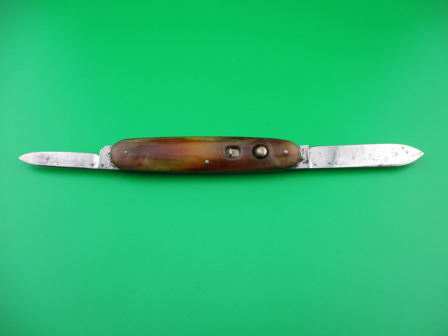 SCHRADE WALDEN Large double Horn celluloid switchblade Book knife