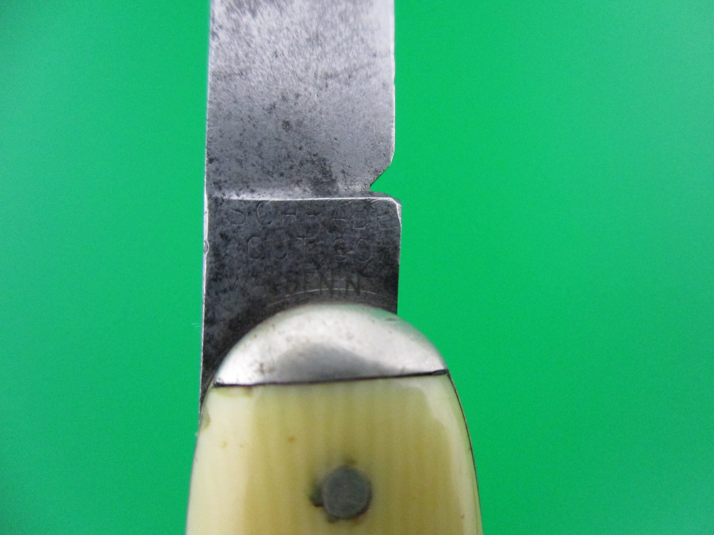 NORVELL SHAPLEIGH Medium Double Ivory cell tip bolsters switchblade knife